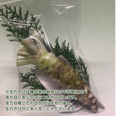 (冷蔵)わさび農家直送　無添加こだわり加工品+　生わさびDXセット 1384 / 大川因わさび園