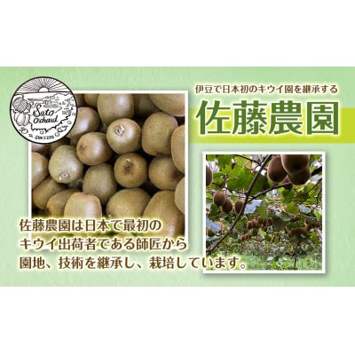 東伊豆・佐藤農園のキウイ　家庭用　約3.2kg以上(Mサイズ～3Lサイズ) 1394 / 佐藤農園 
