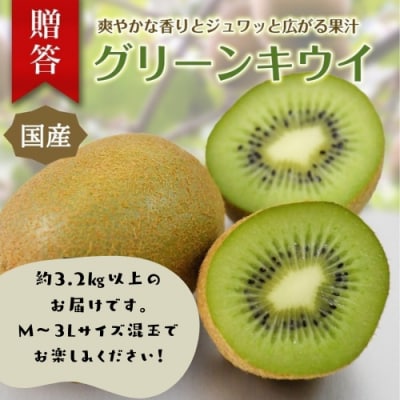 東伊豆・佐藤農園のキウイ　贈答用　約3.2kg以上(Mサイズ～3Lサイズ) 1395 / 佐藤農園