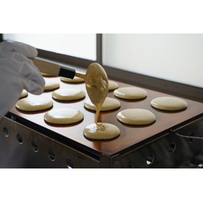 片菅 どら焼き 和菓子 つぶあん ニューサマージャム添え 5個入 1389