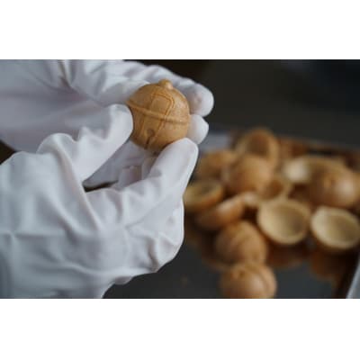 片菅 鈴香 最中 和菓子 つぶあん 10個入 1391