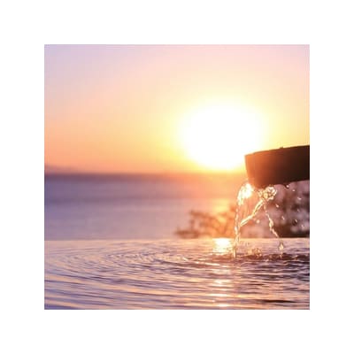 愛犬と泊まる源泉かけ流し 湯宿福の湯 特定日限定1泊2食付き1室2名様1401/ペット泊まれる 伊豆