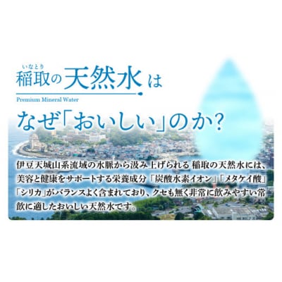 稲取の天然水　ラベルレスボトル　2箱　2L　12本　B033 /イオン　シリカ　静岡県　東伊豆町