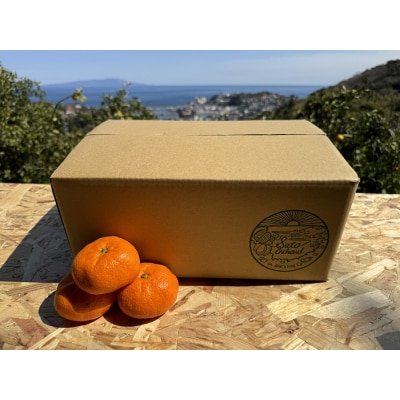 東伊豆・青島みかん&ぽんかん　食べ比べセット 5kg以上(サイズ混玉) 1402 / 佐藤農園