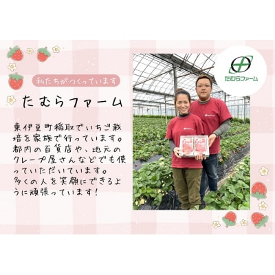 (冷蔵)朝摘みいちご 紅の輝き　約1.1㎏(約280g×4パック) 1403