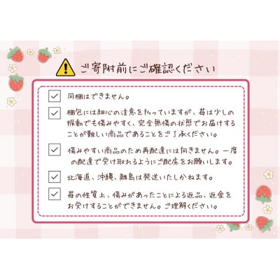 (冷蔵)朝摘みいちご 紅の輝き　約1.1㎏(約280g×4パック) 1403