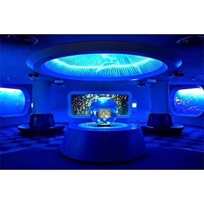 新江ノ島水族館　入場券大人 1枚