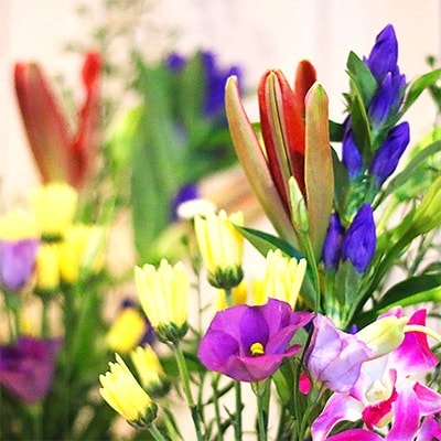 お供え花、墓花セット「安らかな祈りのお花」