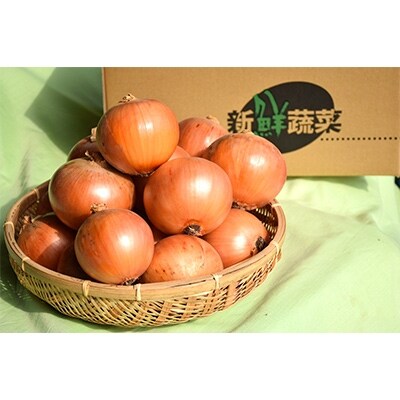 ふるさと納税 野菜ランキング