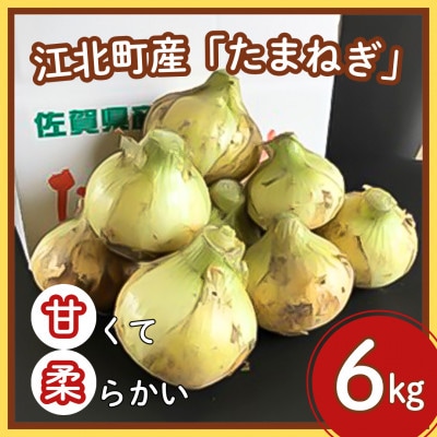 【先行予約】江北町産「たまねぎ」 6kg