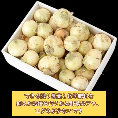 江北町産「たまねぎ」 6kg