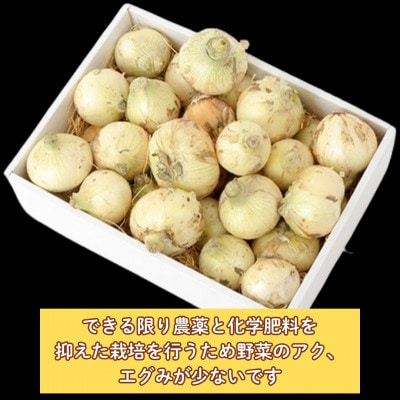 【先行予約】江北町産「たまねぎ」 6kg