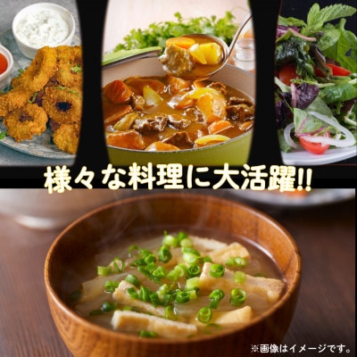 【先行予約】江北町産「たまねぎ」 6kg