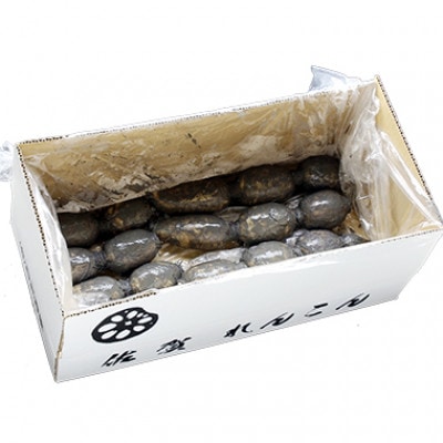 【地元江北町産】 泥付き蓮根 3kg