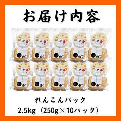 【特別栽培農産物認定】《地元江北町産》佐賀れんこんパック 10パック (250g×10パック)