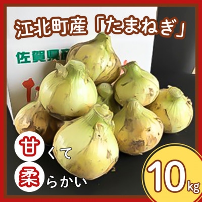 【先行予約】江北町産「たまねぎ」約10kg
