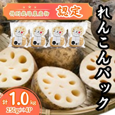 【特別栽培農産物認定】《地元江北町産》佐賀れんこんパック 1kg (250g×4パック)