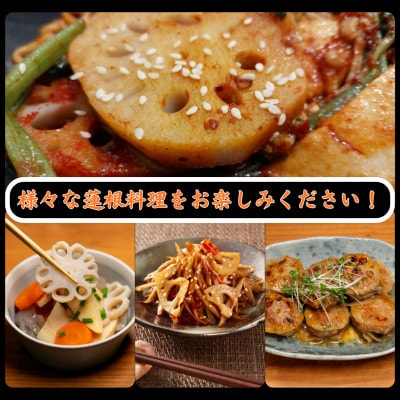 【毎月定期便】【地元江北町産】泥付き蓮根 3kg　(特別栽培農産物認定)全3回