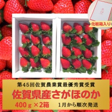 【R6年1月2月発送】王様のいちご約400g×2箱【さがほのか】