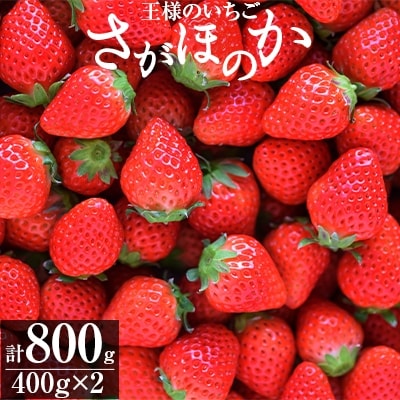 【1月・2月朝摘み当日発送】王様のいちご(さがほのか)400g×2箱(計0.8kg)【こだわり栽培】
