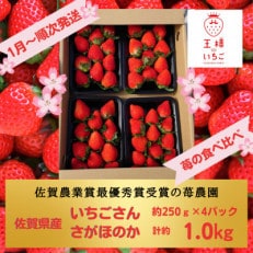 【佐賀県産】苺食べ比べ(いちごさん&さがほのか)4パック計約1kg