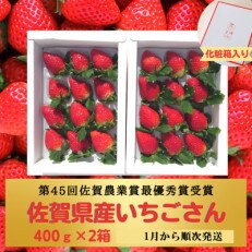 【1月2月発送】王様のいちご約400g×2箱【いちごさん】