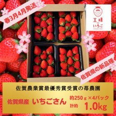 【佐賀県産】春のいちご(いちごさん)4パック 計約1kg | ふるさと納税のお礼品