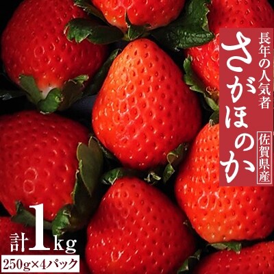 【3月4月発送】佐賀県長年の人気者「さがほのか」250g×4パック計約1kg【朝摘み当日農園直送】