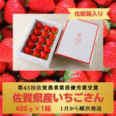 【1月2月発送】王様のいちご約400g×1箱【いちごさん】