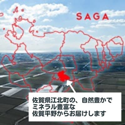 【R7年1月2月発送】 朝摘み当日発送!王様のいちご 1箱400g【佐賀県産いちごさん】