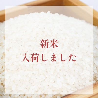 【先行予約】令和7年産 新米 さがびより 精米 5kg×2袋(計10kg)【佐賀県江北町産】