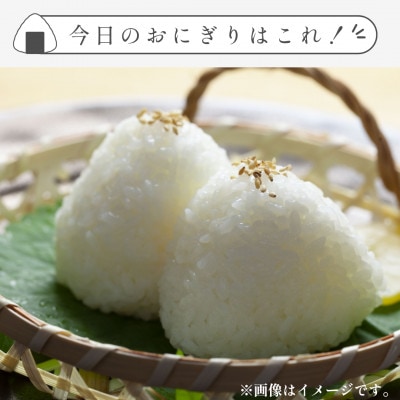 【先行予約】令和7年産 新米 さがびより 精米 5kg【佐賀県江北町産】