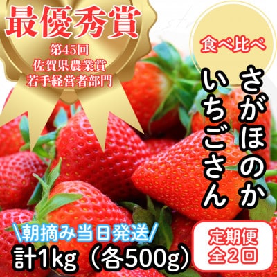 【発送月固定定期便】いちご食べ比べ定期 総計1kg(さがほのか いちごさん)全2回