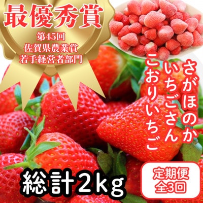 【発送月固定定期便】いちご食べ尽くし(さがほのか・いちごさん・こおりいちご)全3回