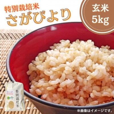 特別栽培米「さがびより」玄米 5kg