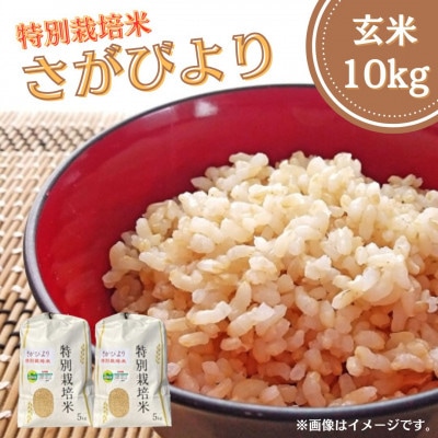 令和6年産　特別栽培米「さがびより」玄米 10kg