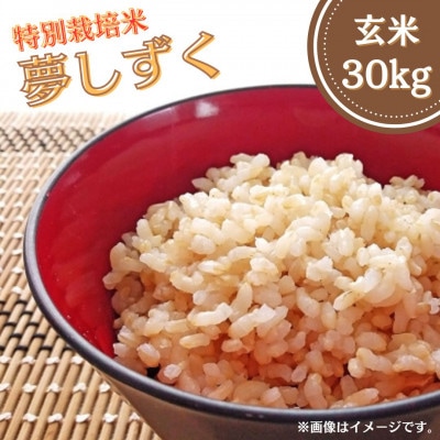 特別栽培米「夢しずく」玄米30kg
