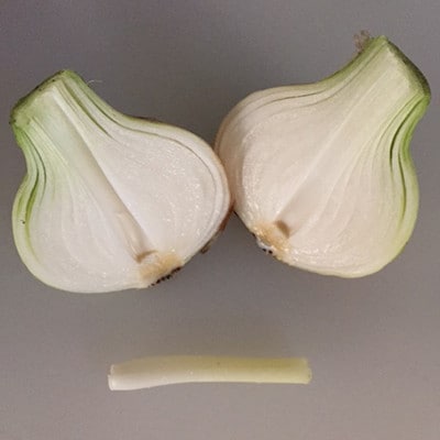 佐賀県産玉ねぎ 10kg(サイズ不ぞろい)