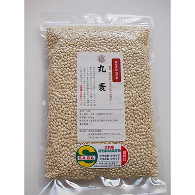丸麦【1等麦使用令和5年産】農薬・化学肥料不使用(栽培期間中)佐賀県江北町産サチホゴールデン