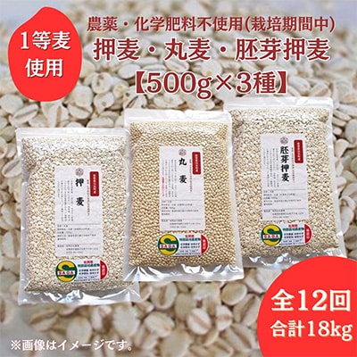 【毎月定期便】麦詰合【押麦、胚芽押麦、丸麦】農薬・化学肥料不使用(栽培期間中)佐賀県江北町産全12回