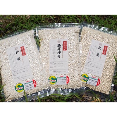 【毎月定期便】麦詰合【押麦、胚芽押麦、丸麦】農薬・化学肥料不使用(栽培期間中)佐賀県江北町産全12回