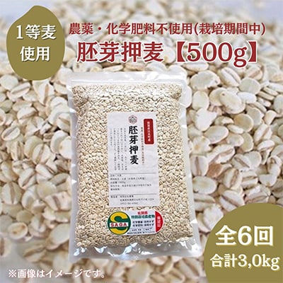 【毎月定期便】【胚芽押麦】農薬・化学肥料不使用(栽培期間中)佐賀県江北町産サチホゴールデン全6回