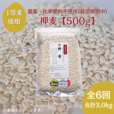 【毎月定期便】【押麦】 農薬・化学肥料不使用(栽培期間中)佐賀県江北町産サチホゴールデン全6回
