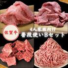 4人家族向け 佐賀牛 普段使いセットB