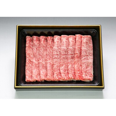 【毎月定期便】田中畜産牛肉店が選ぶ佐賀牛サーロインスライス500g 全6回