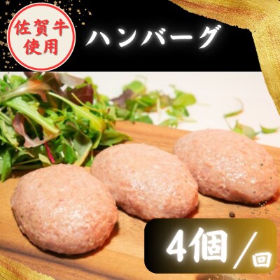 【毎月定期便】佐賀牛スライス・ハンバーグセット (肩ローススライス500g・ハンバーグ4個)全6回