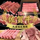 【毎月定期便】佐賀牛 大満喫定期便全12回