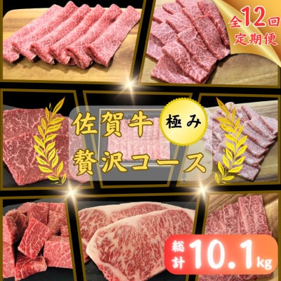 【発送月固定定期便】佐賀牛 贅沢コース<極み>全12回