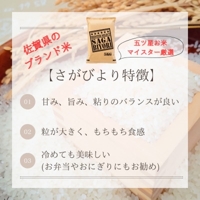 令和6年産【無洗米】さがびより10kg【5kg×2袋】五つ星お米マイスター厳選!