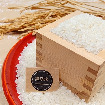 令和6年産【無洗米】さがびより2kg×4袋(真空パック)